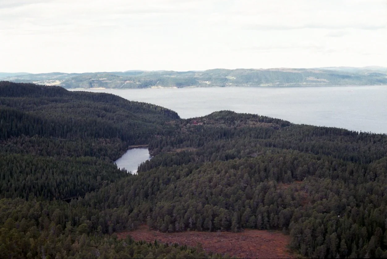 img015.jpg