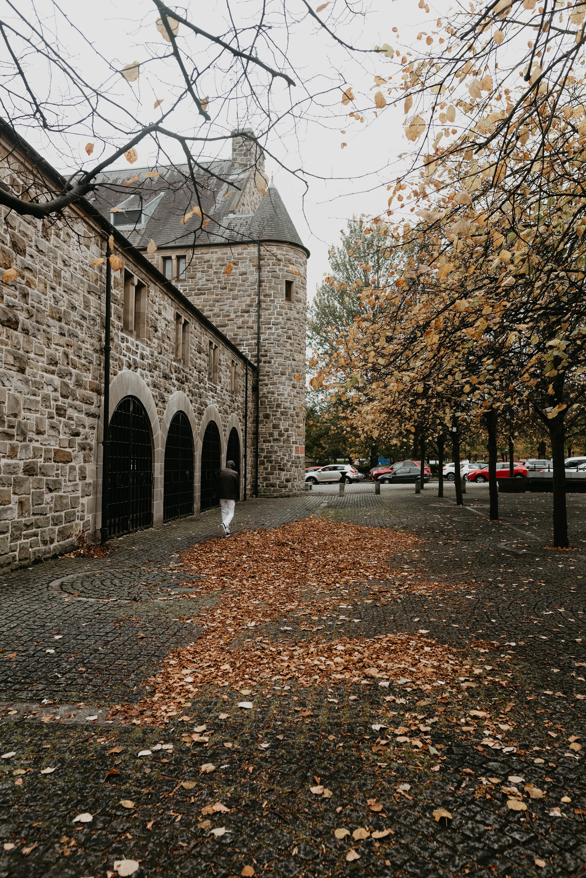 DSC_1203.jpg