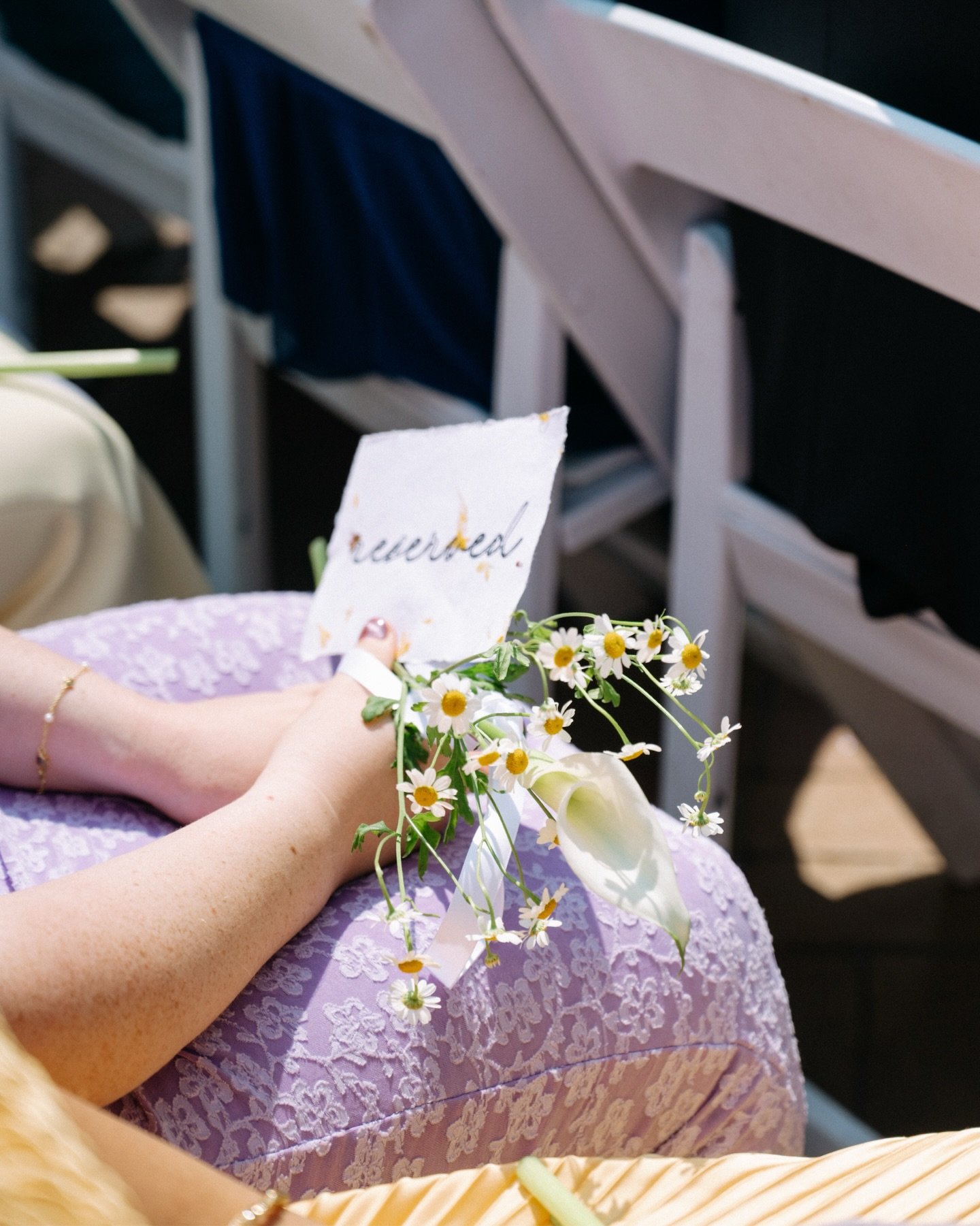A sunny September day at Denver Botanic Gardens ☀️ my first time photographing at this gorgeous venue did not disappoint. second shot alongside @isabelhenryphoto 📸