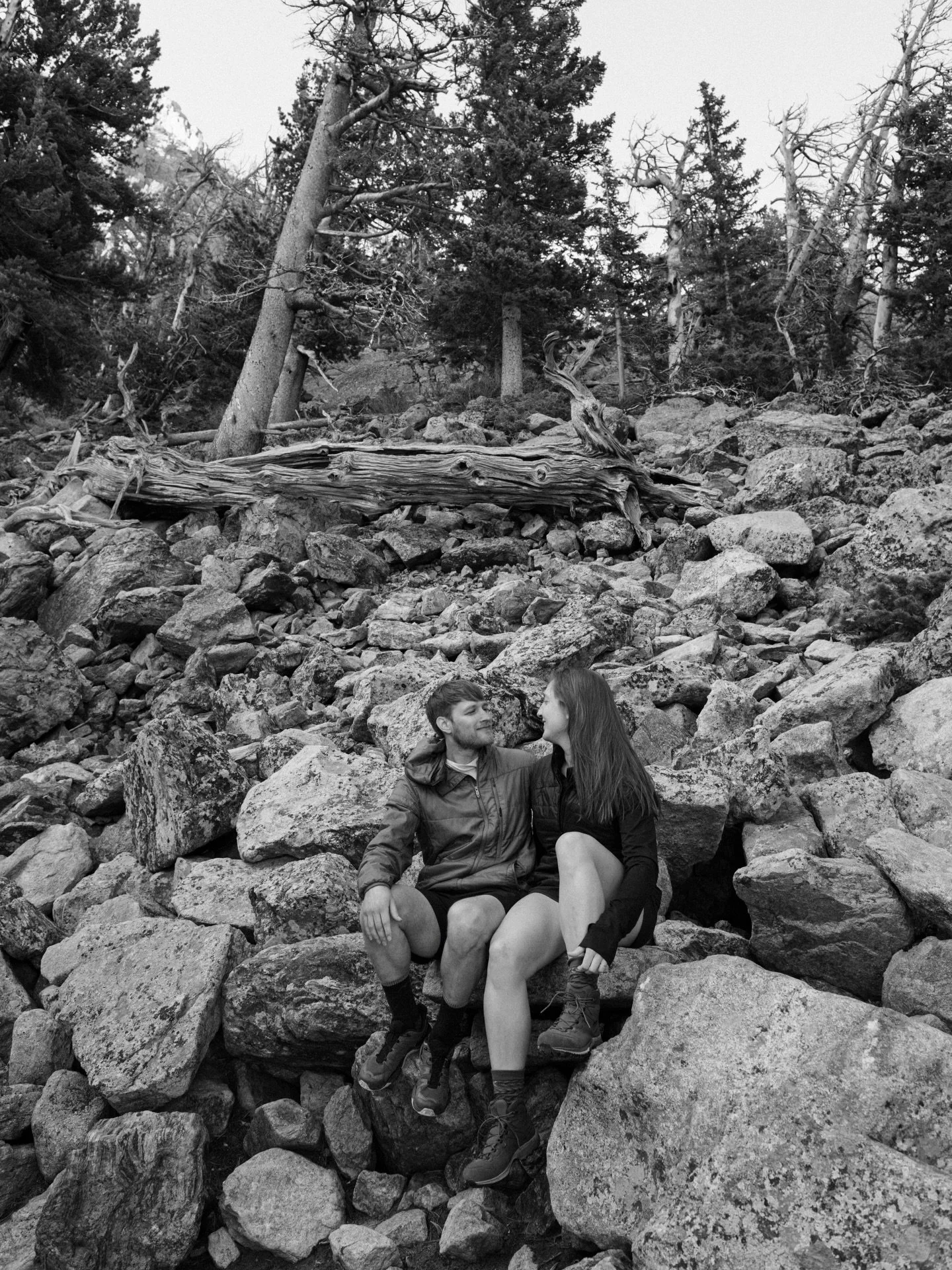 we 🫶🏼 rocks (and rocky).

#coloradophotographer #rmnp #rocksrock