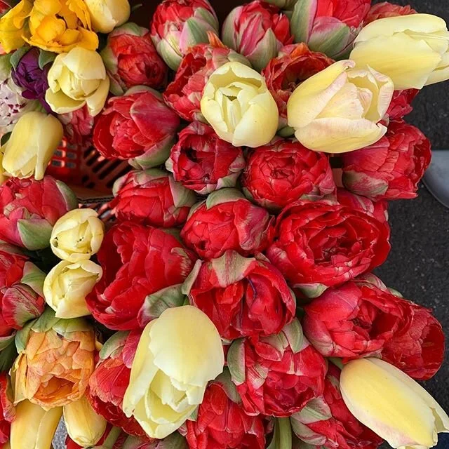 This WINDY market features:
Gourmet Foragables &amp; More
Meishi Oysters
SM Produce and Floral (those tulips!!)
Fruit Hill Farm
Happy Mountain Mushrooms
K2 Greens
Mama Torrez Salsa
Triple H Farms
Tate's Honey Farm
Ramstead Ranch
Full Bushel Farm
Hier