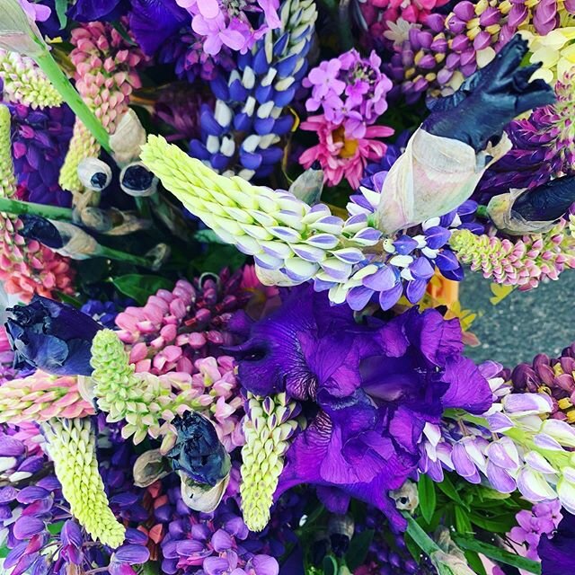 Thursday! June 4, 2020 3:00-7:00pm
@twilightcider 
@anniesicecreams 
@veraci_spokane 
@aichelefarms 
Gourmet Foragables
Morgan Shellfish
SM Produce and Floral
@fruithillfarm 
@happymountainmushrooms 
@k2greens 
@mamatorrezsalsa 
Haggerty&rsquo;s happ