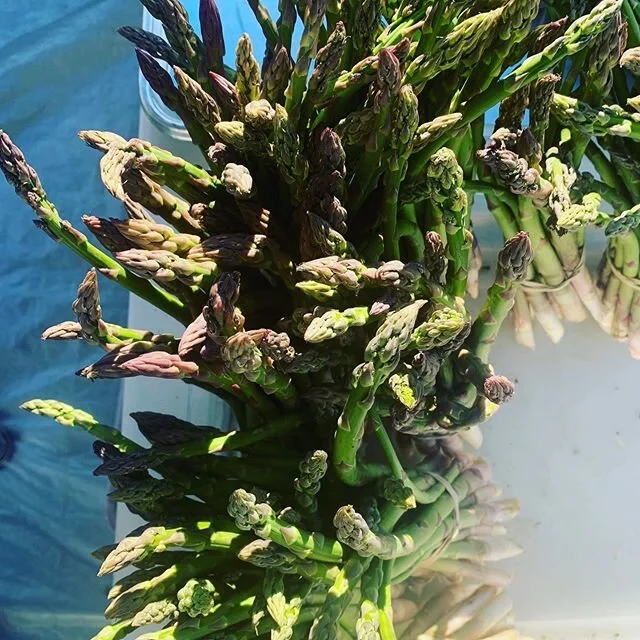 To market, to market. Announcing, Thursday June 18, 3-7:00:
Highland Homey Farm
Good Day Handmade Bath and Body
Lucky Market, veg and flowers
@tateshoneyfarm
Montague farm, veg
Agapi, bath and floral
K2 Greens
Aichele Farms
Tamalebox
Gourmet Foragabl