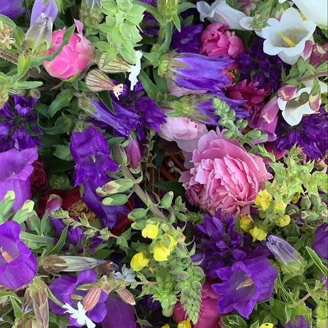 ANNOUNCING, TODAY Thursday, June 25 3-7:00pm:
Arabesque Farms and Bakery
Tonnemaker Hill Farms
Agapi, produce and bath
Tate's Honey Farm
Lucky Market, flowers and produce
K2 Greens
Gourmet Foragables &amp; More
Tamalebox
Aichele Farms
Renegade Farm
F