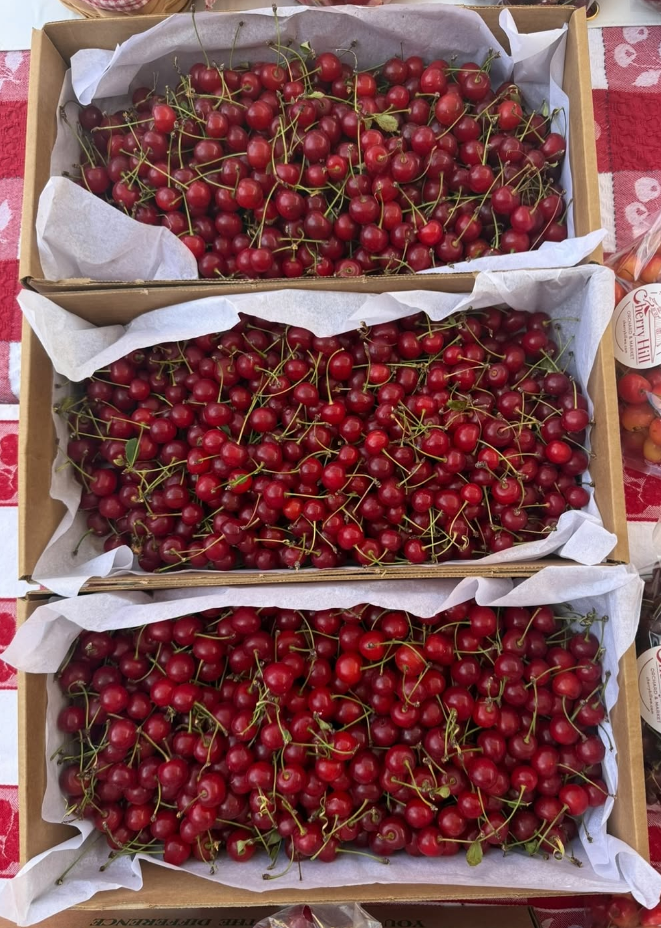 CHERRY HILL ORCHARD &amp; MARKET   We are a Green Bluff family farm since 1998 offering cherries and raspberries.   