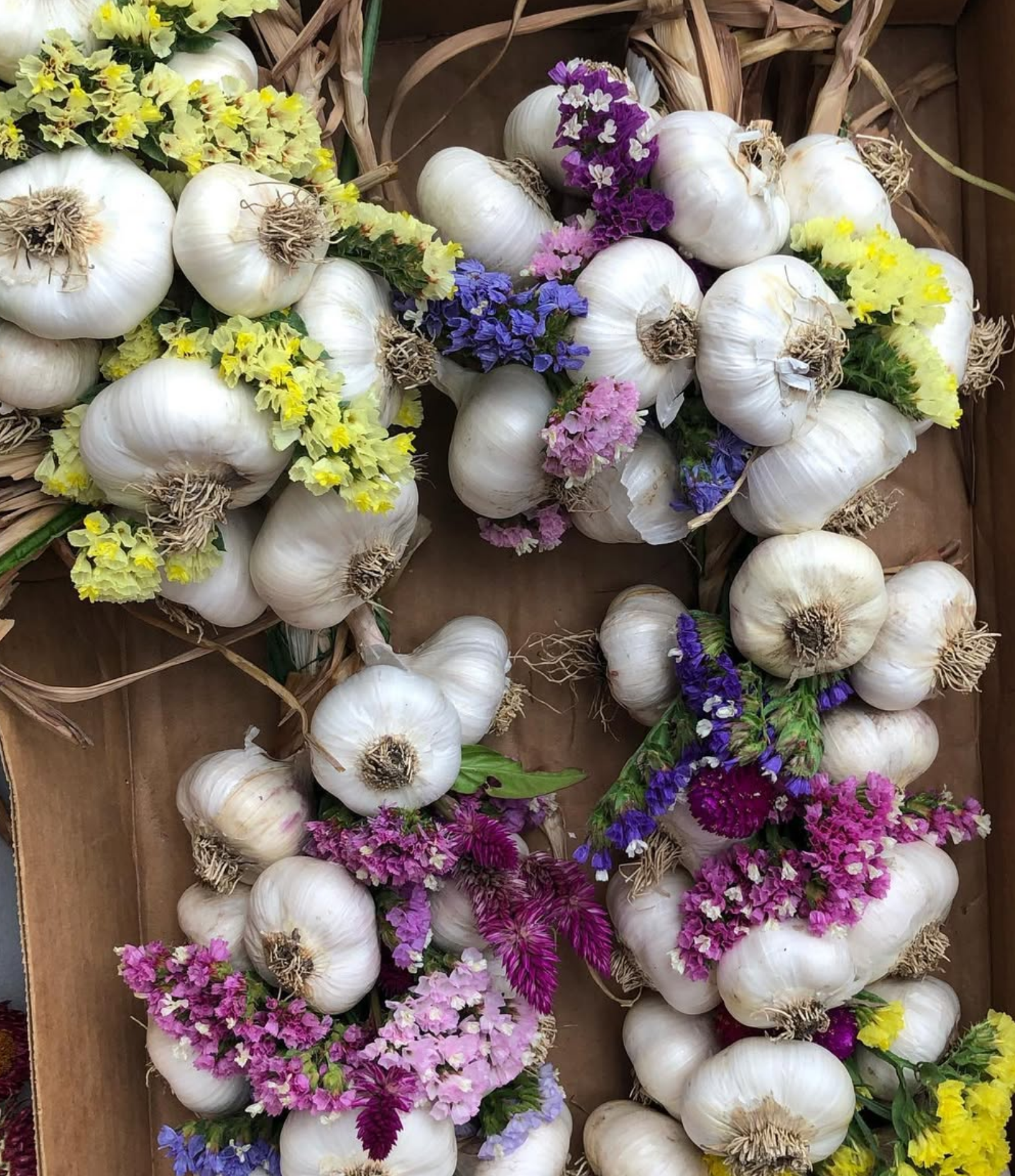  DOGWILD FARM   We use sustainable and organic growing practices to provide our community with high-­quality produce, specializing in garlic.    