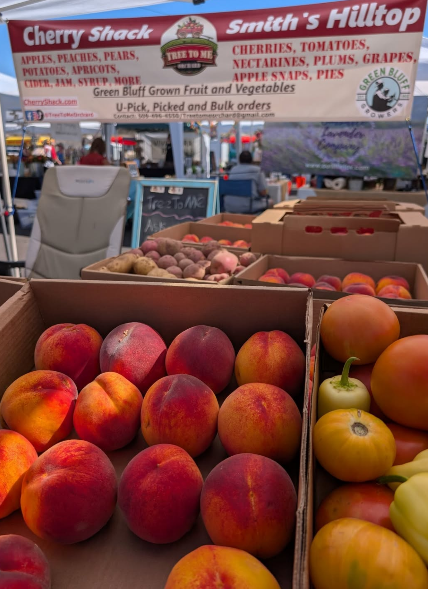  TREE TO ME / CHERRY SHACK ORCHARD   Fruits, vegetables, apple snaps, and more!  