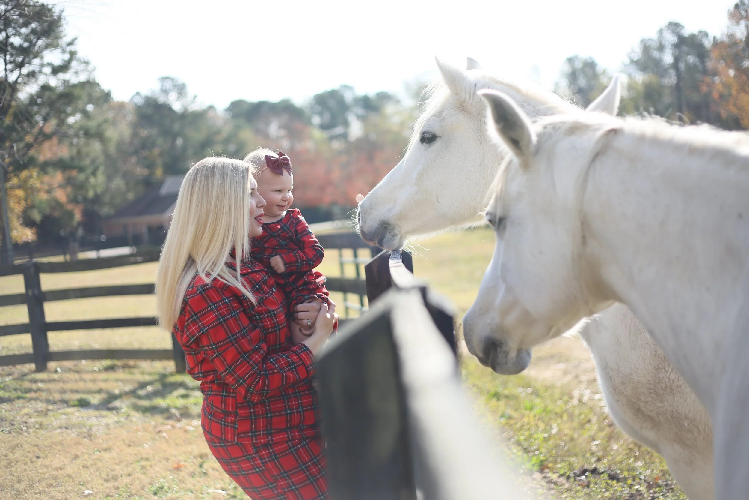 matchingchristmasjammies 249.jpg