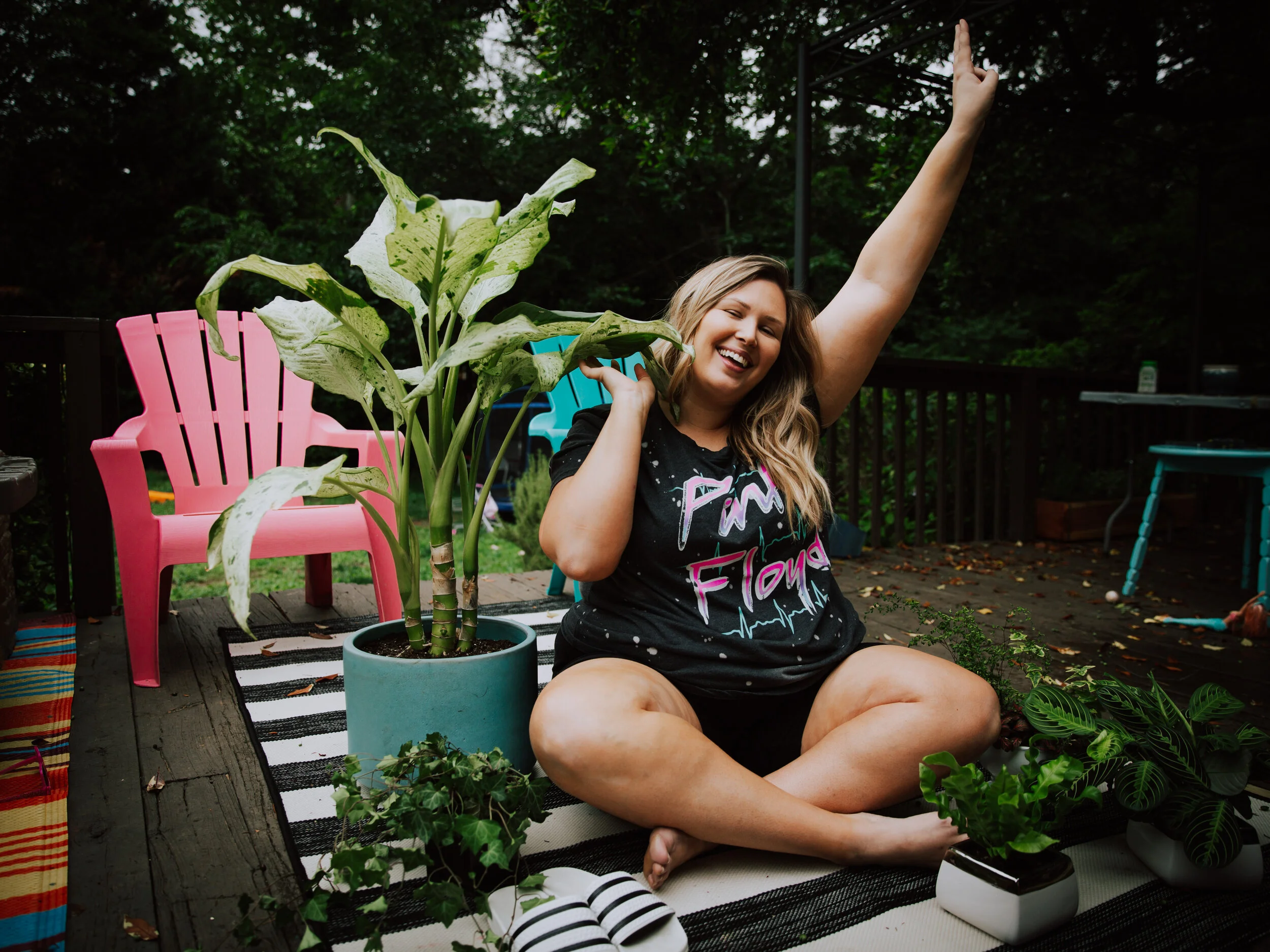 Houseplants: a guide to getting started