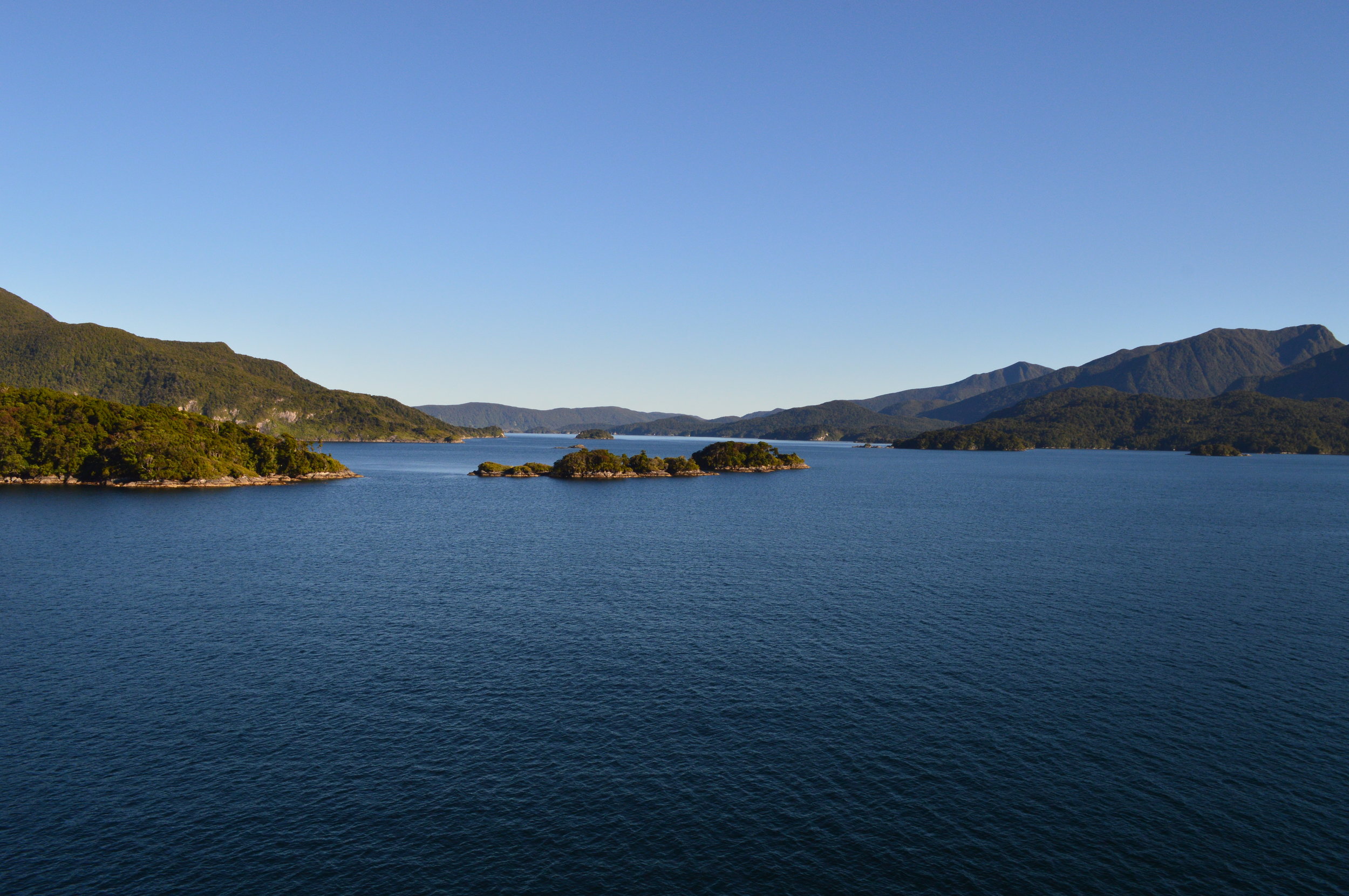 DSC_0042.jpg