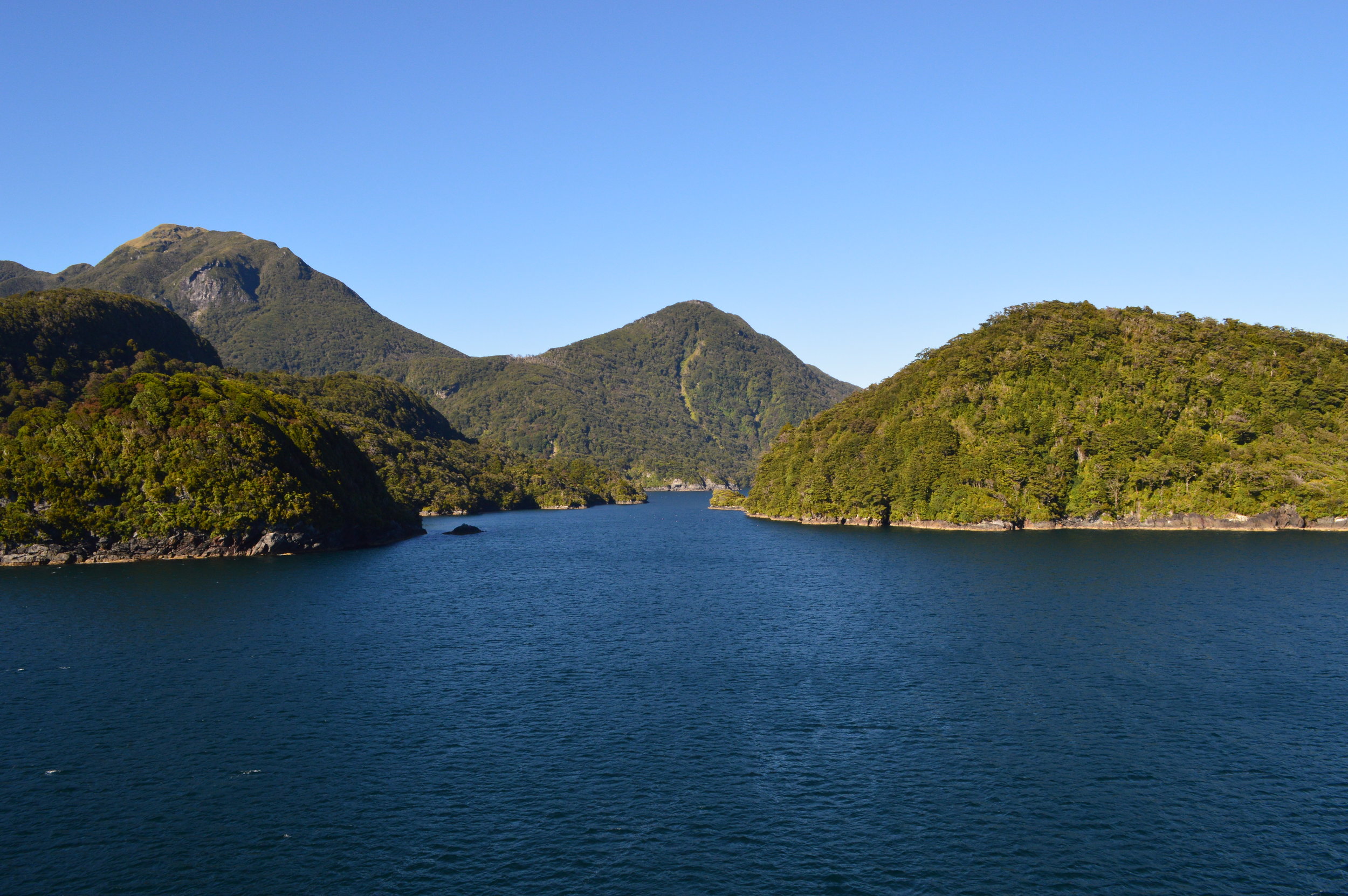 DSC_0077.jpg