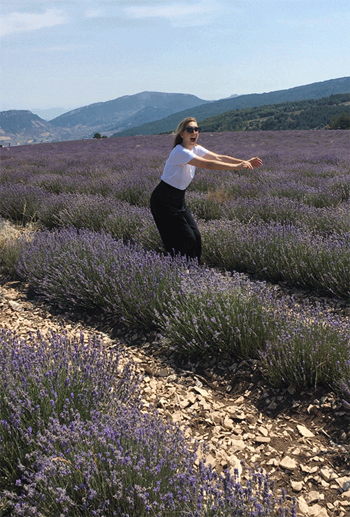 Lavender-fields_3.gif