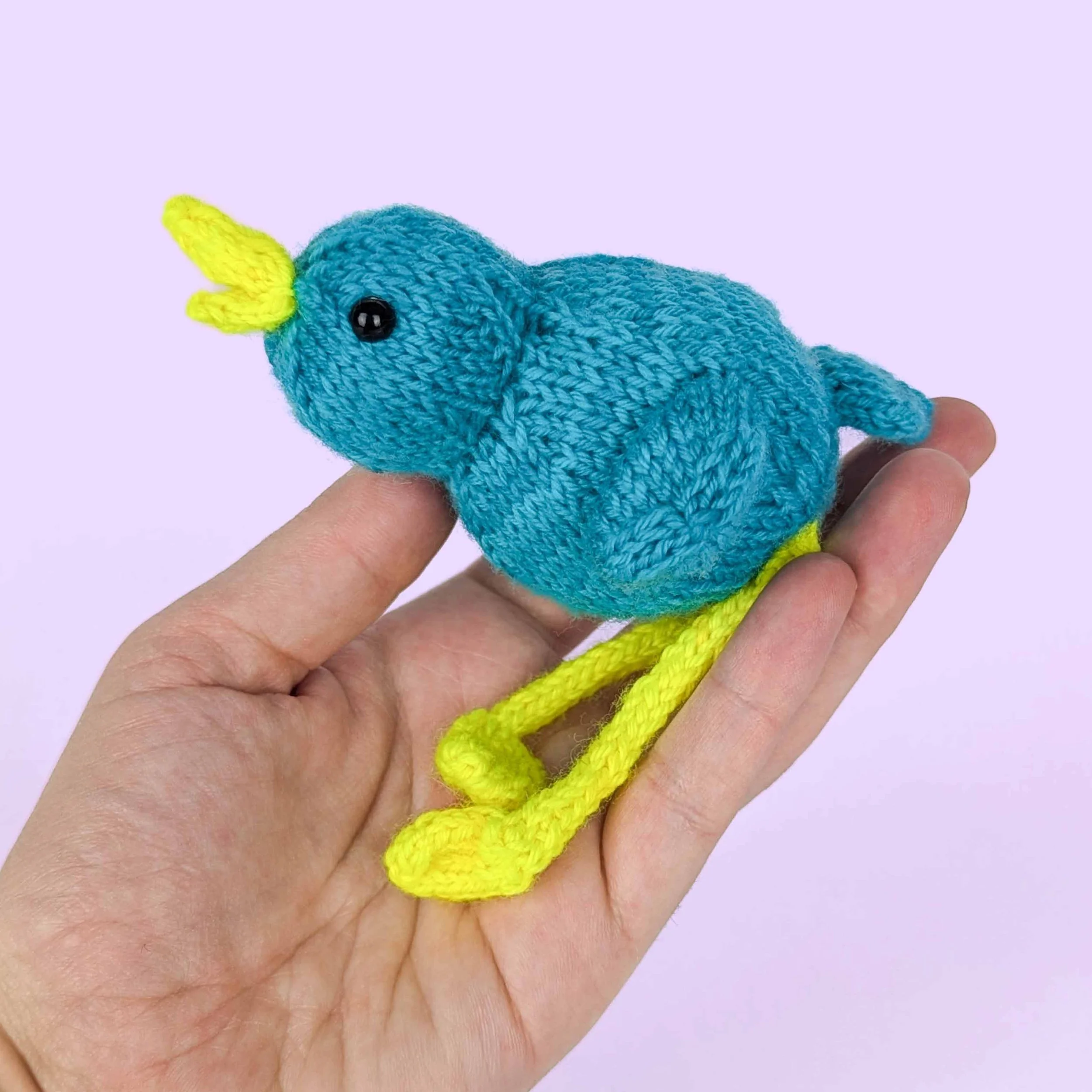 Birb_In Hand 1_1.jpg