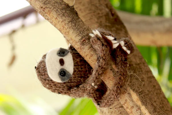 sloth_front_hanging.jpg