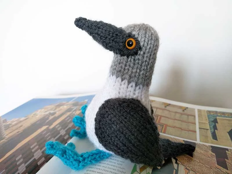 booby_head_web.jpg