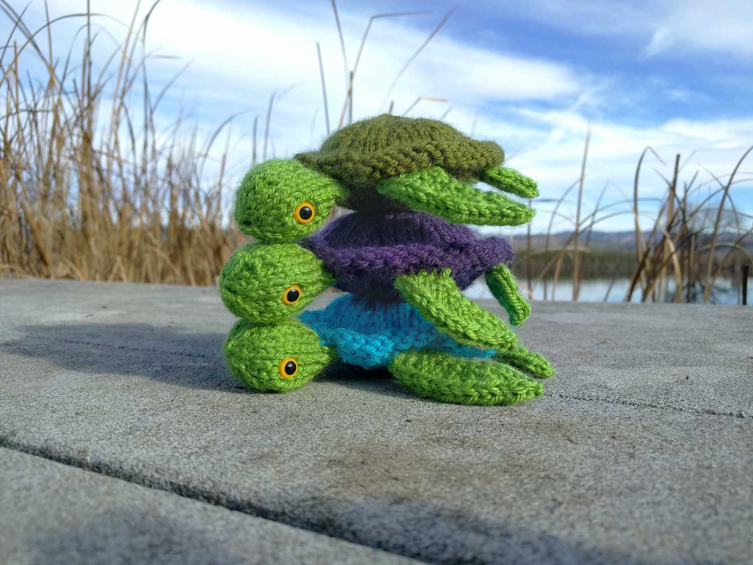 Free Sea Turtle Knitting Pattern!