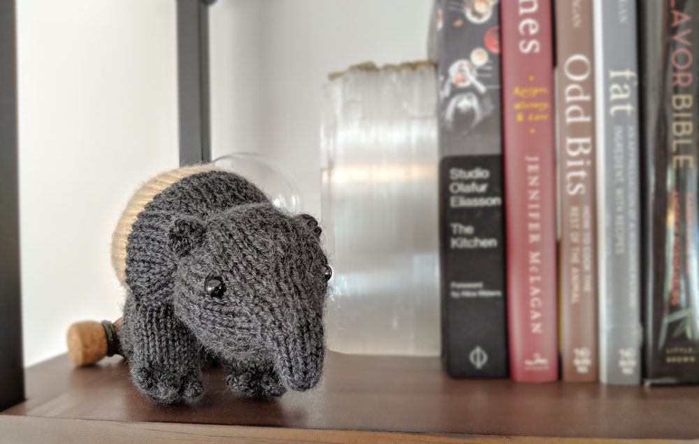 face_bookshelf_web.jpg
