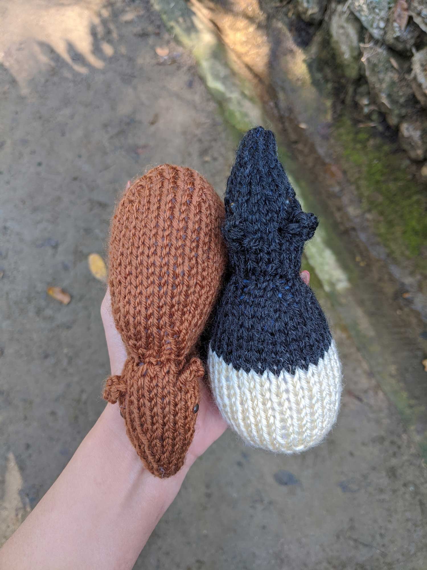TwoTapirs_InHand_web.jpg