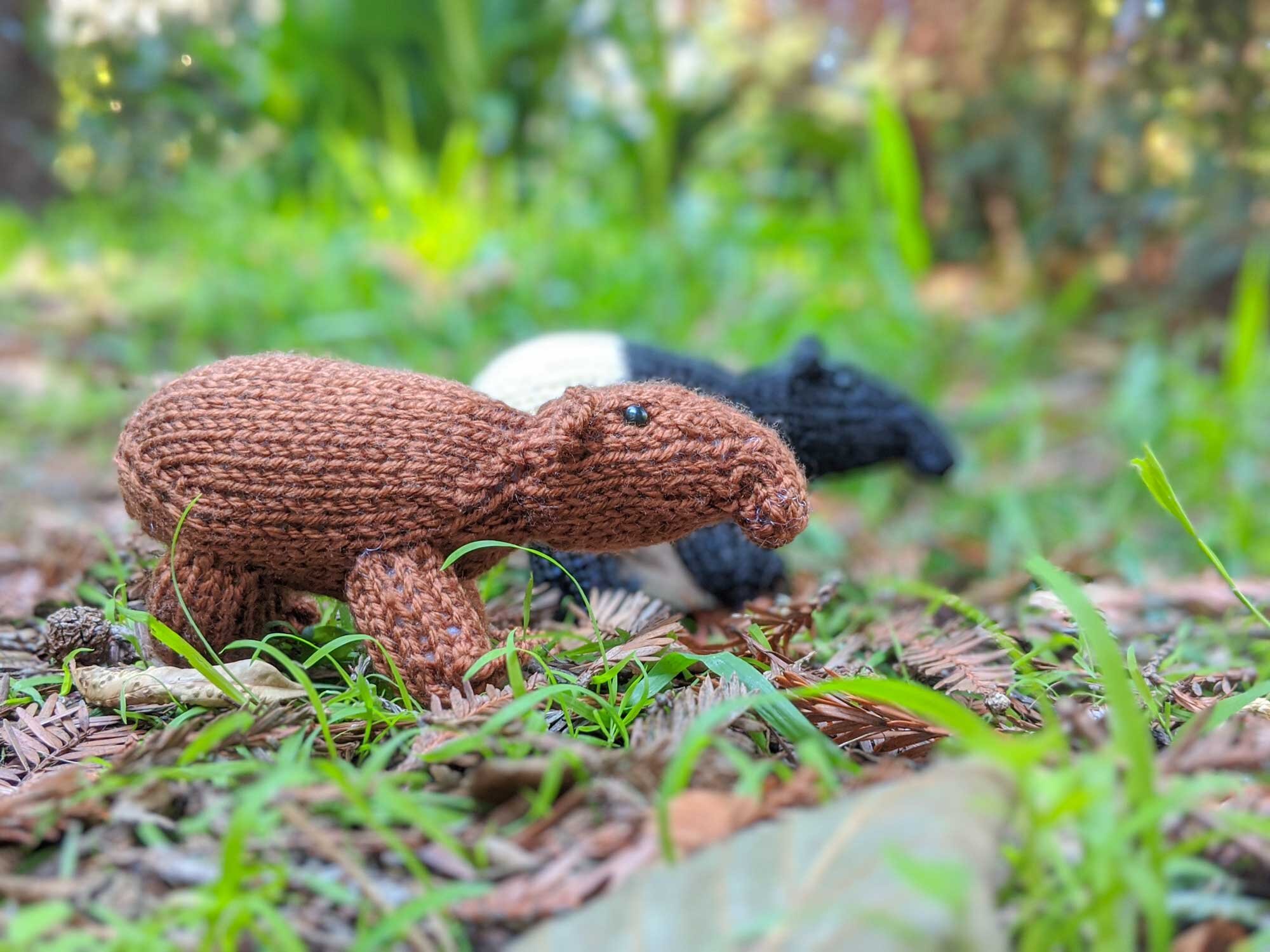 TwoTapirs_SideBySide_web.jpg