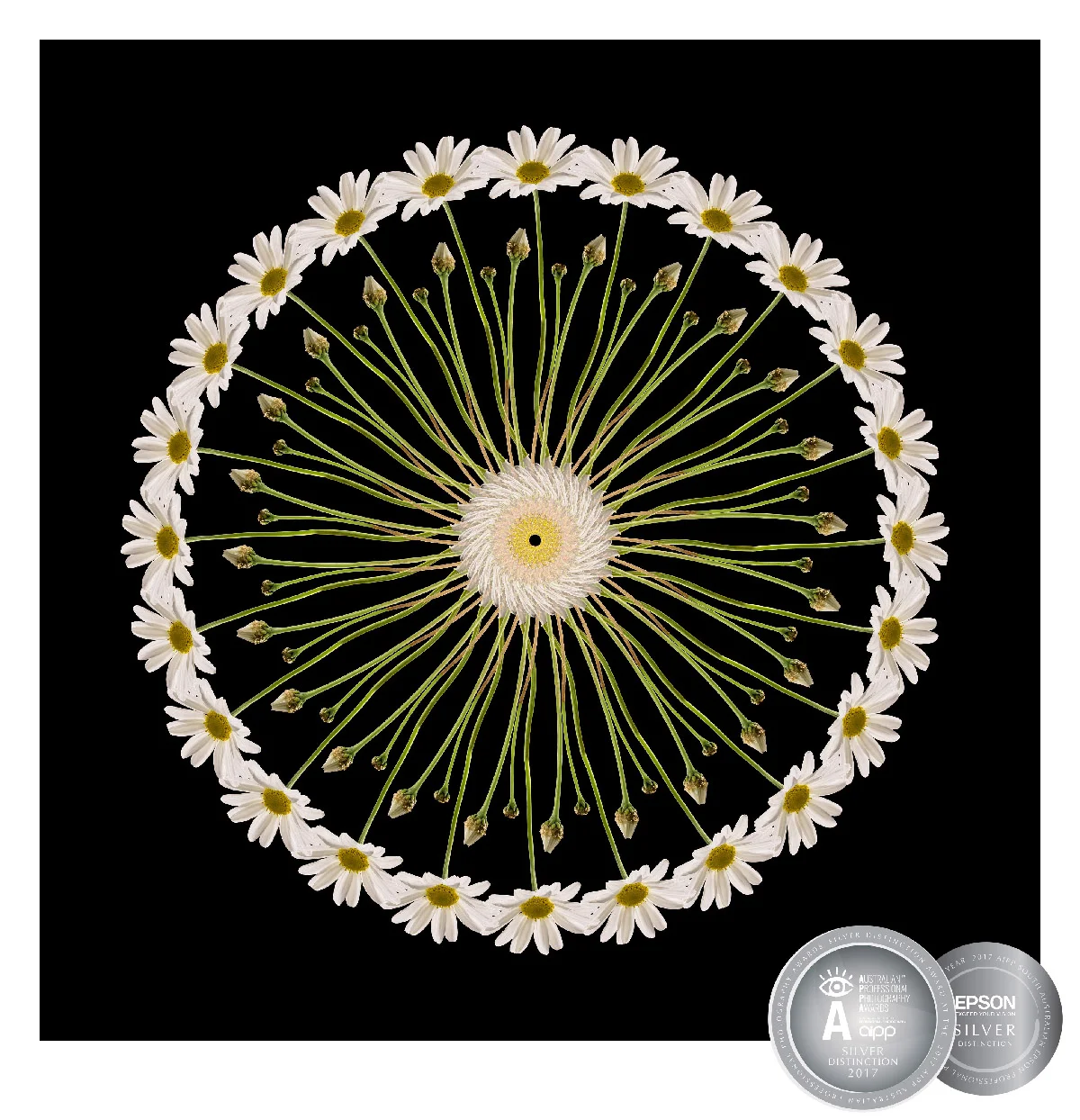 SA2017-LiewB-2_SILVER_DBLOG.jpg