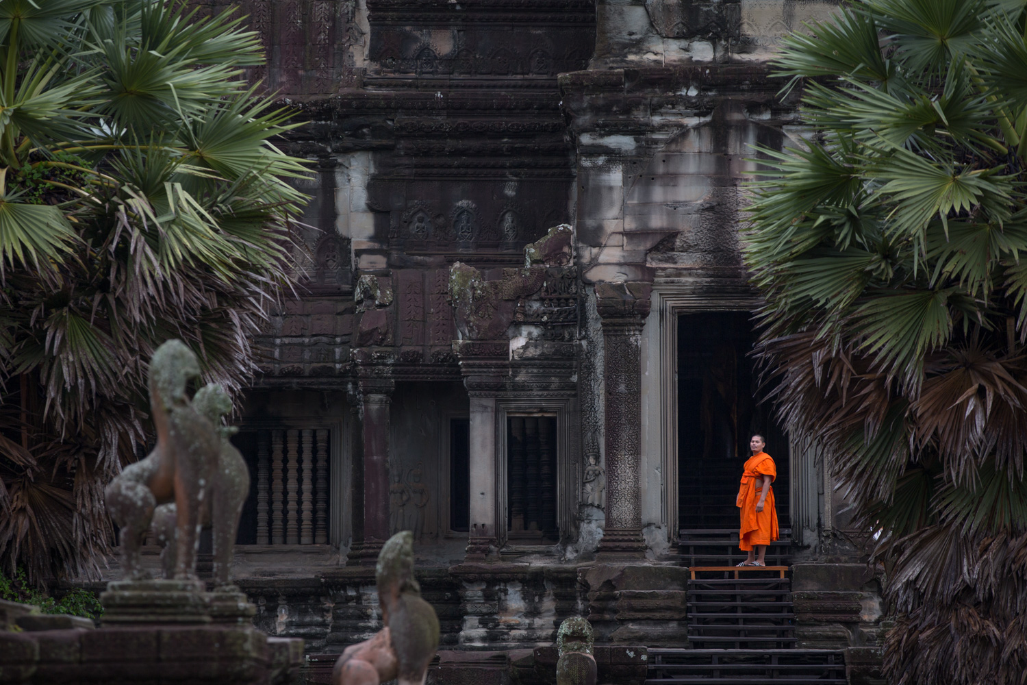 Buddhist Monk, Cambodia