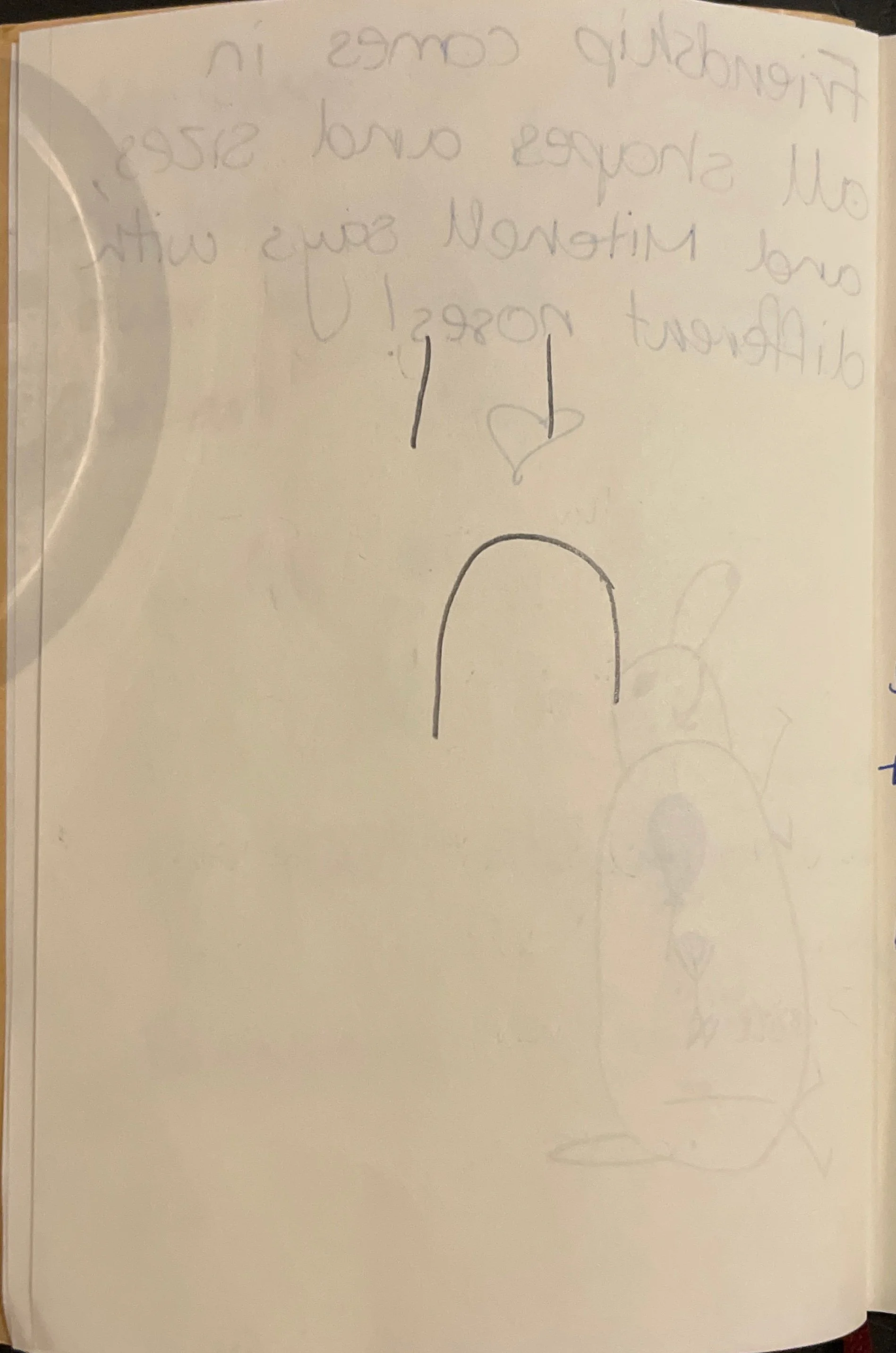 friendship book_Page_05_Image_0001.jpg