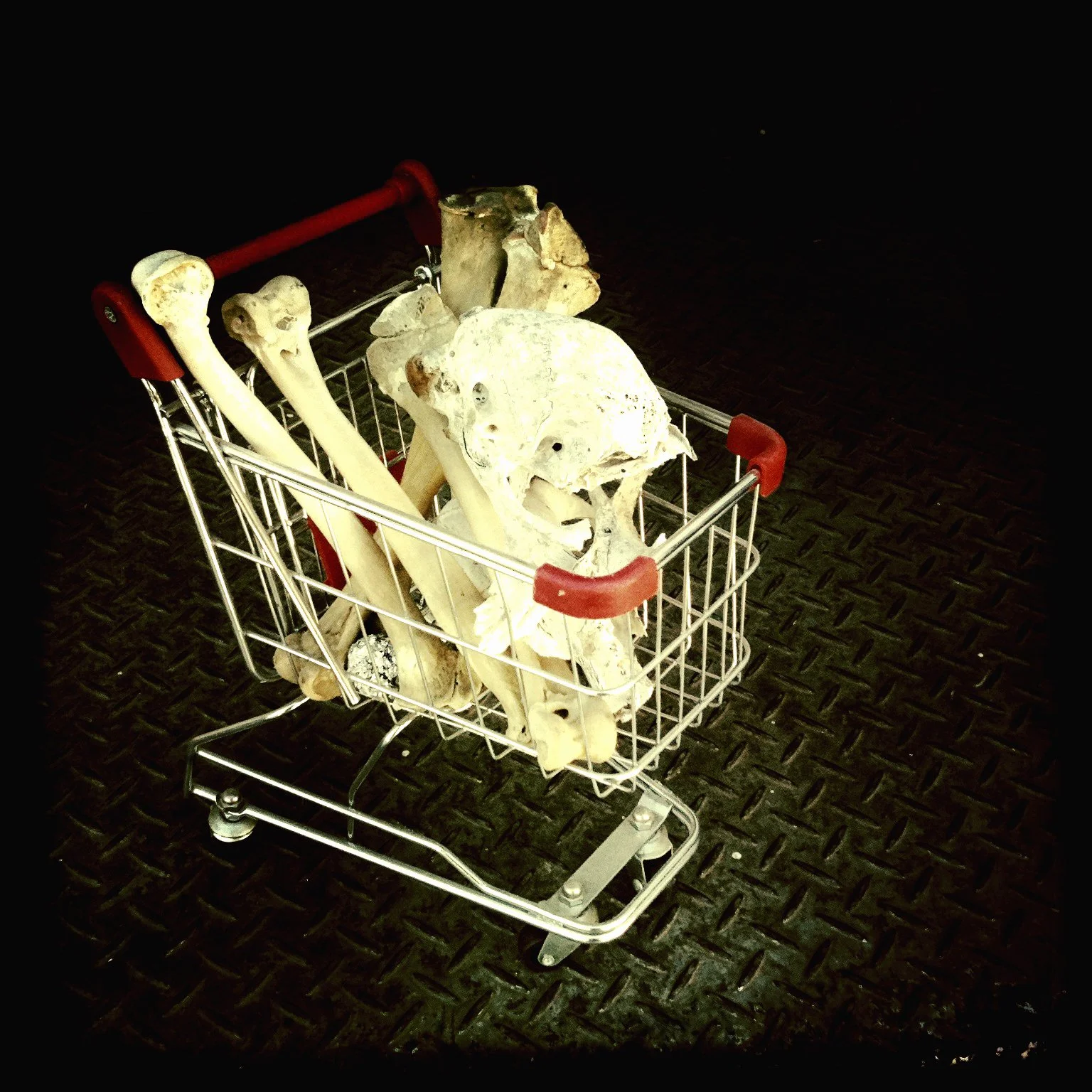 BoneTrolley.jpg