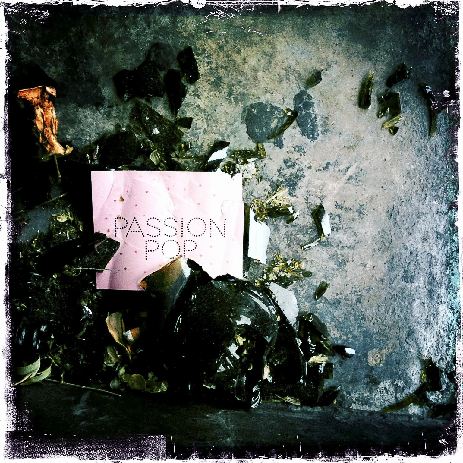 PassionPop.jpg