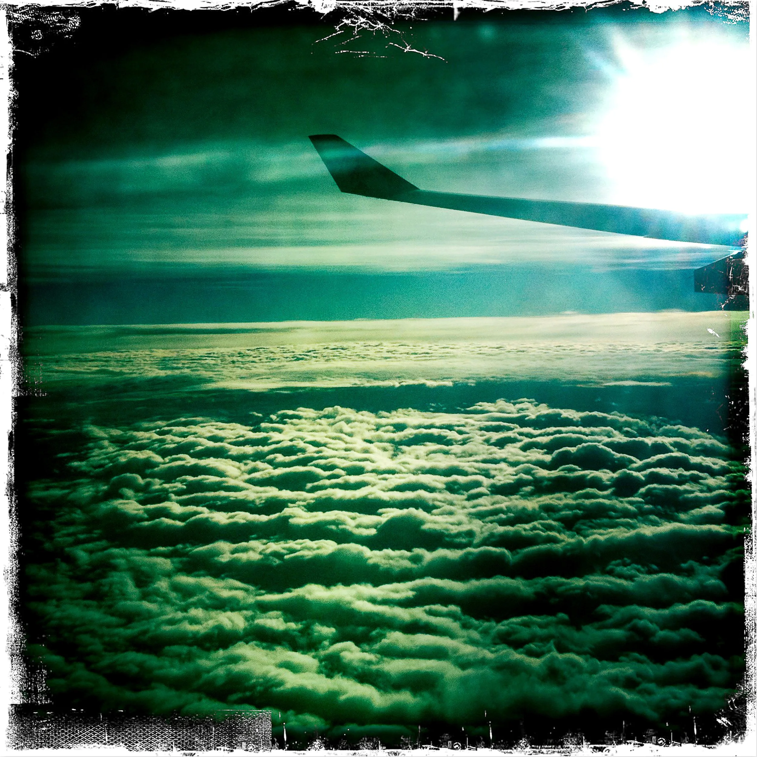 PhotoRag_BL_Wing.jpg