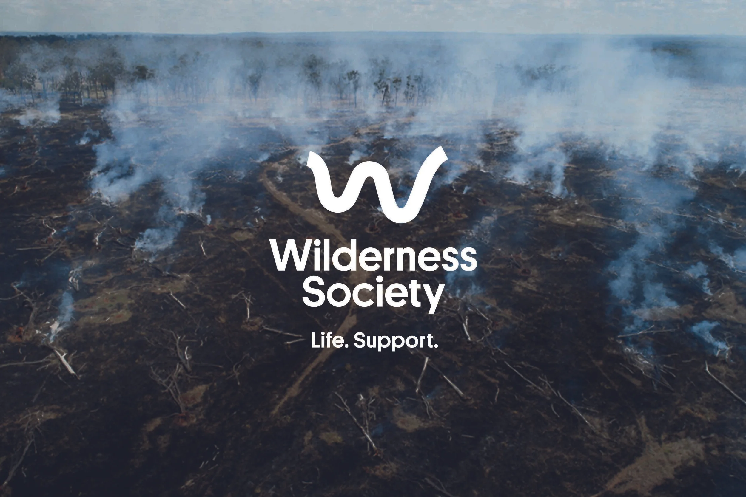  Infographic design for Wilderness Society highlighting the devastating impacts of deforestation. 