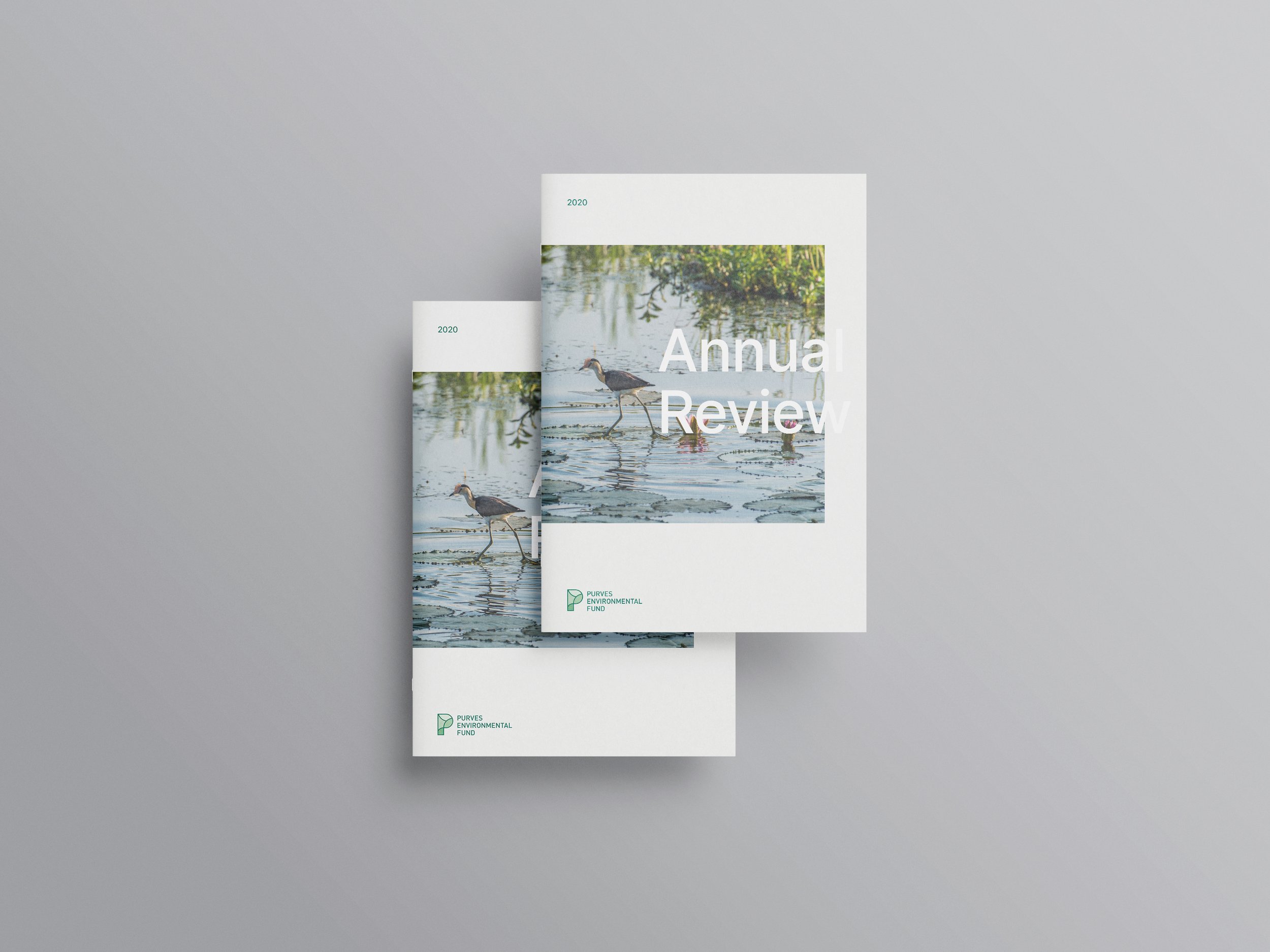 Purves-Environmental-Fund-Annual-Review-1.2.jpg