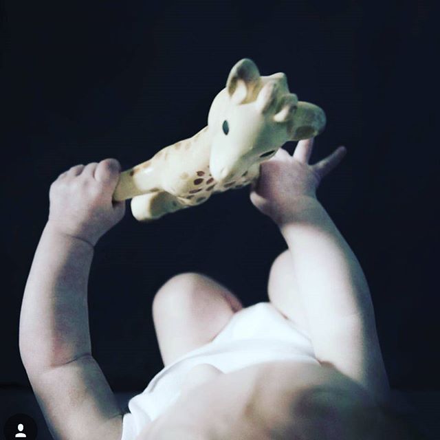 Lets go to bed Sophie. Sweet dreams my loves. 💛 
great shot! x @katarinamalmstrombrown

#sophiethegiraffe #sophiethegiraffeaustralia #sophielagirafe #bestteethingtoy #teethingtoy #happybaby #naturalrubber #nontoxicpaint #teethingbaby