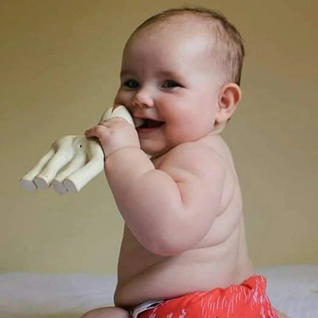 Happiness!!! 💛💛💛 #fanfanthefawn #sophiethegiraffeaustralia #naturalrubber #nontoxicpaint #vulli #naturalrubber #nontoxicpaint #teethingbaby #teether#organic 
Adorable!  xxx @two_little_poppets