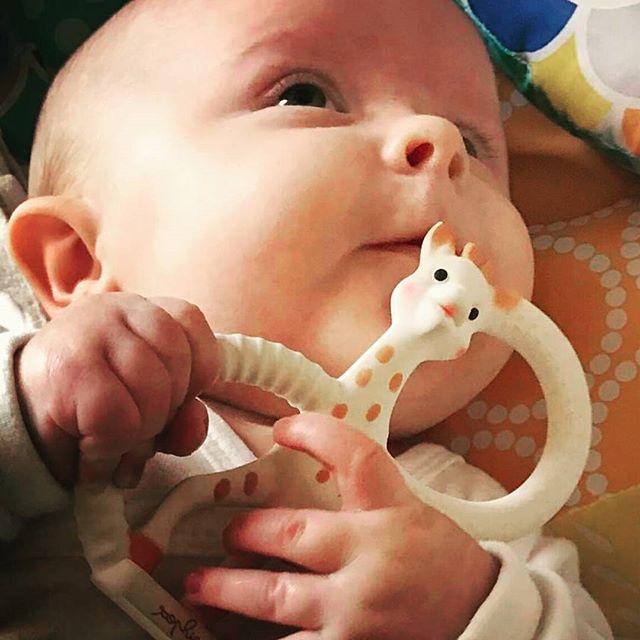 Beautiful boy! 💛 @moatragardhwilliams

#sopureteethingring #sopure #teethingring #bestteethingtoy #teethingtoy #naturalrubber #nontoxicpaint #sophiethegiraffeaustralia #organic #instababy #babyshowergift