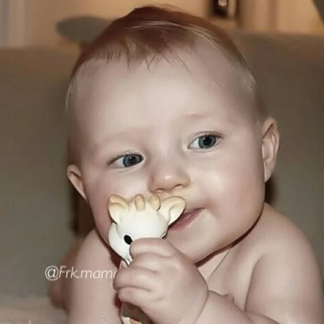 Just loving to hang with my friend Sophie .
Adorable ! @frk.mami

#sophiethegiraffeaustralia #bestteethingtoy #teethingtoy #naturalrubber #nontoxicpaint #teether #naturalteether #organic #handmadeinfrance #happybaby #instababy #babyshowergift #bestfr
