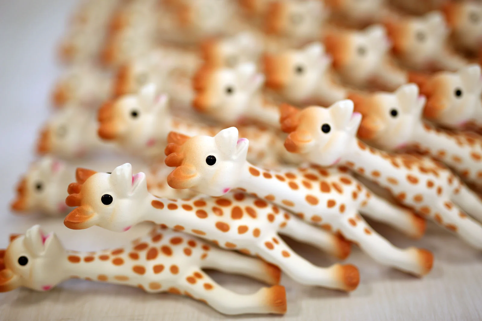 sophie the giraffe story