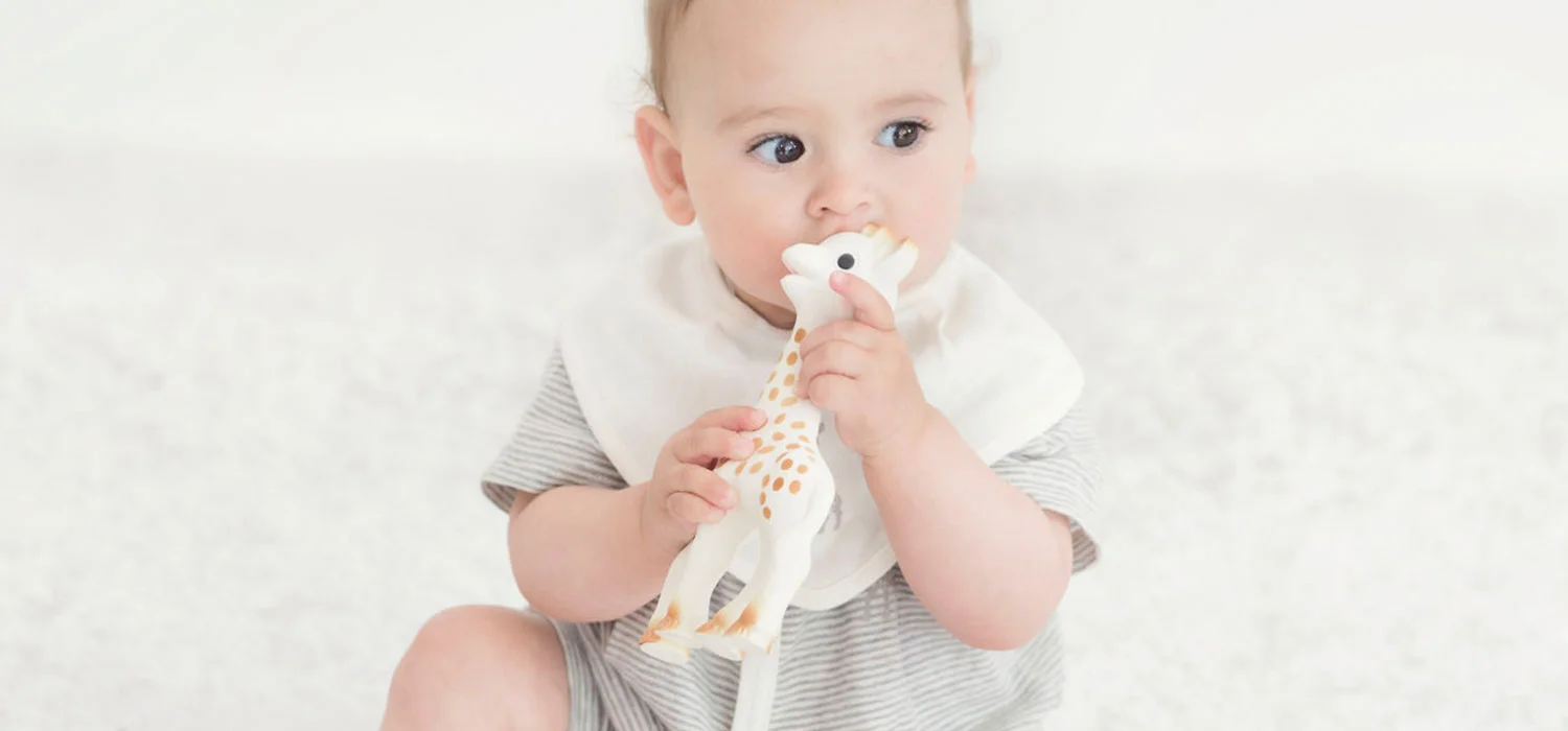 Sophie-la-girafe-and-baby-new.jpg