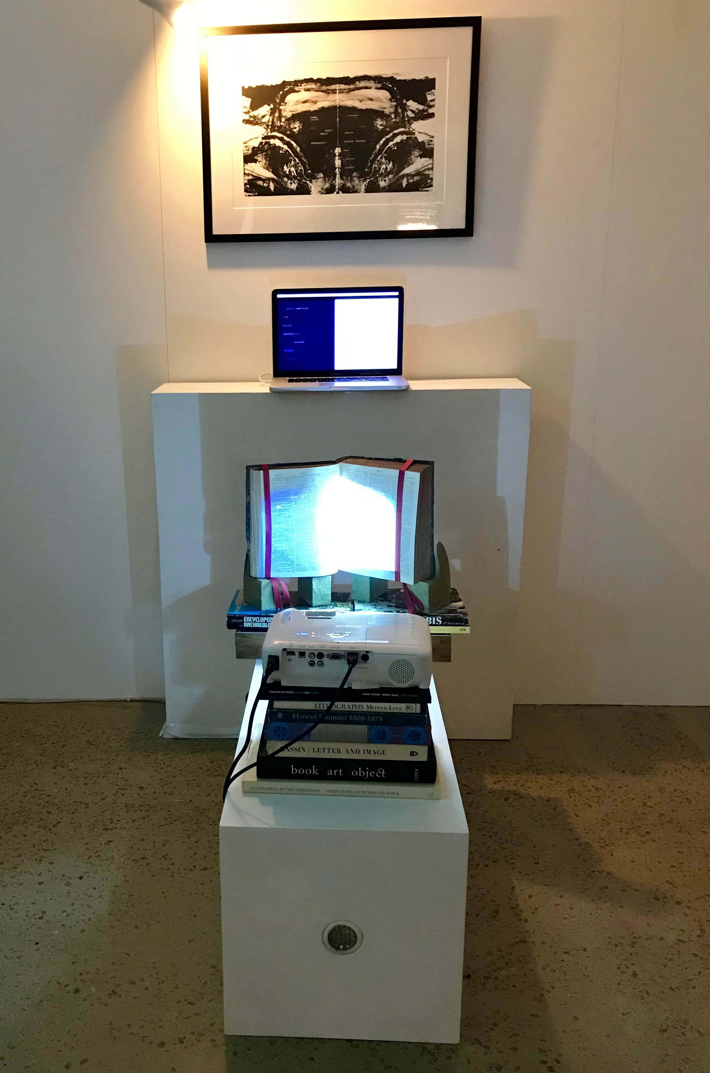 Beautiful Apocalypse 2019. Installation in Ex Libris show.