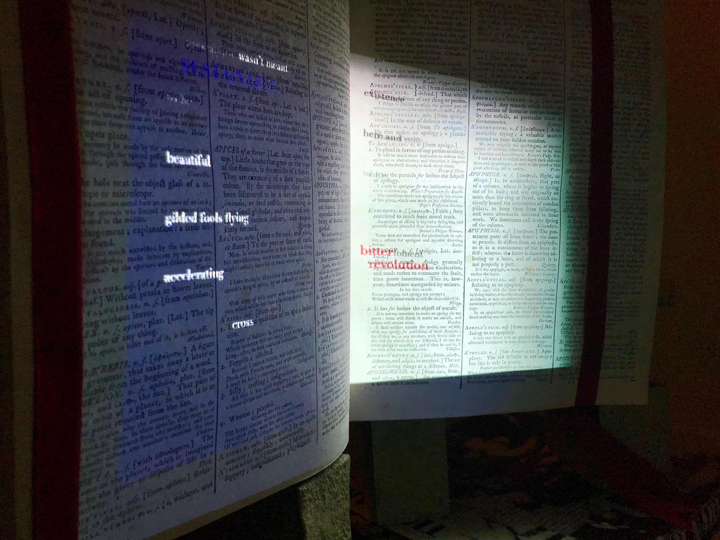 Beautiful Apocalypse 2019. Installation in Ex Libris show.