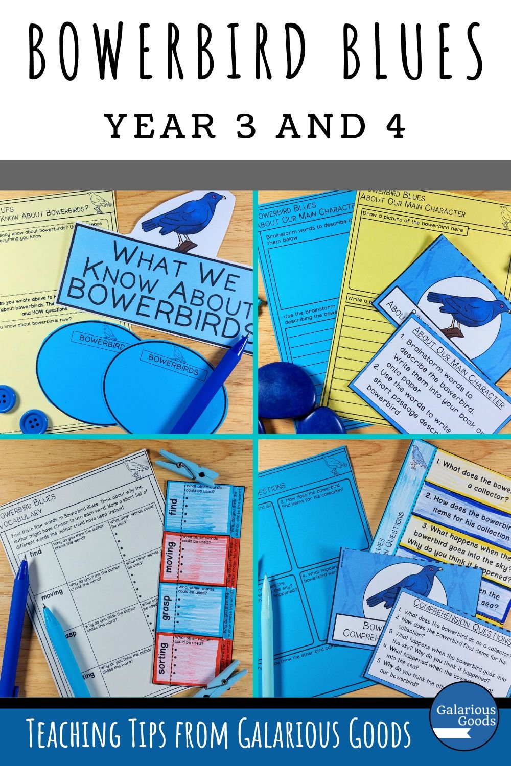 Bowerbird Blues Learning Activities