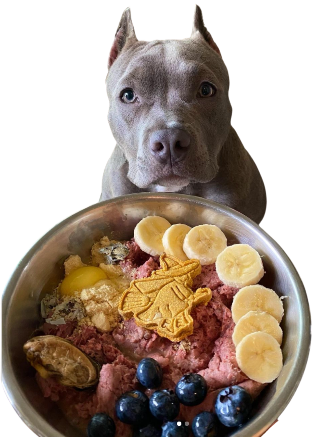 Is Raw Feeding Bad For Dogs