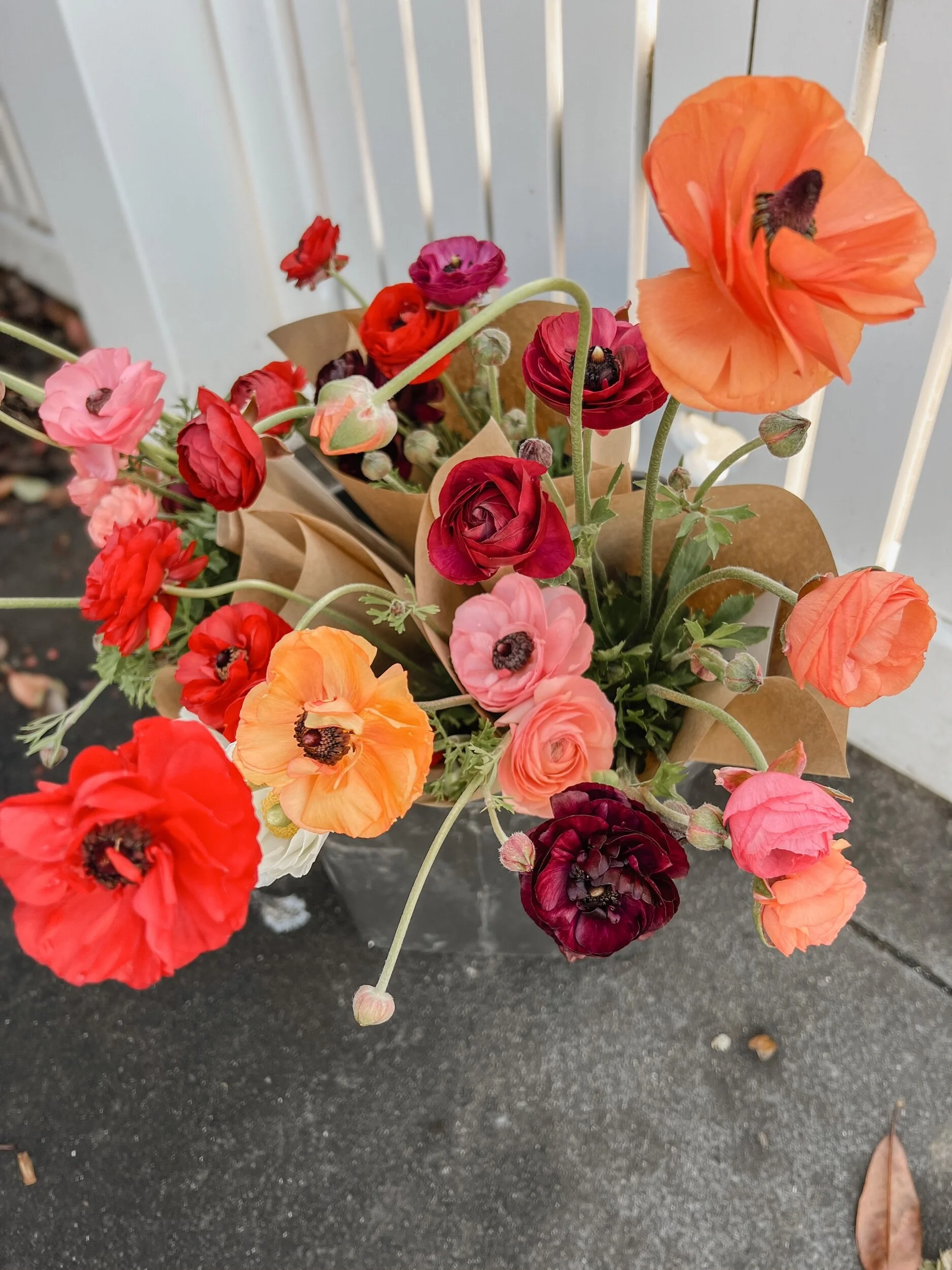 1E899019-D349-46C2-8678-D57DB3A5B13E