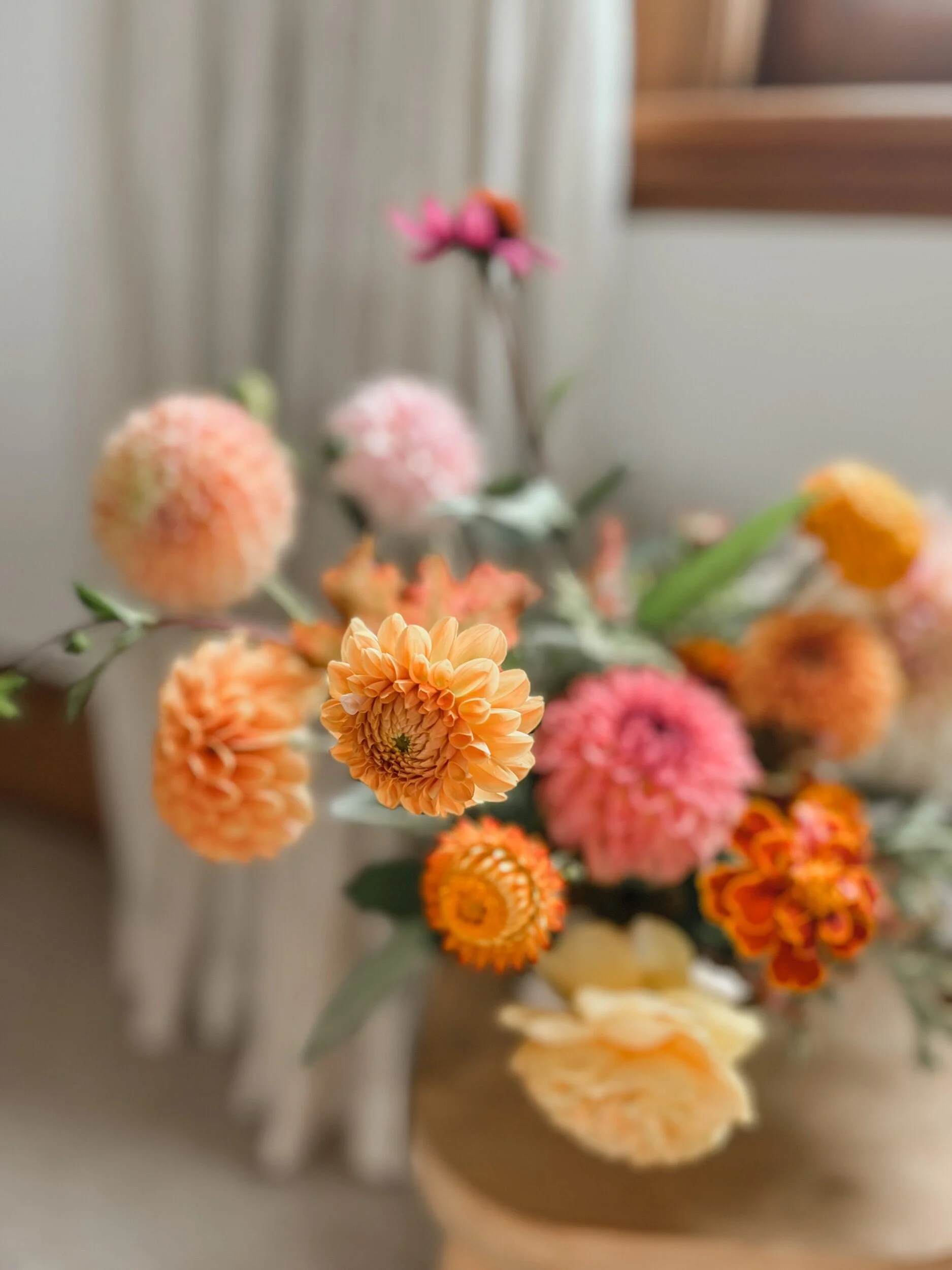 F5572DCA-B1C1-4276-A08D-AF7472883DC0