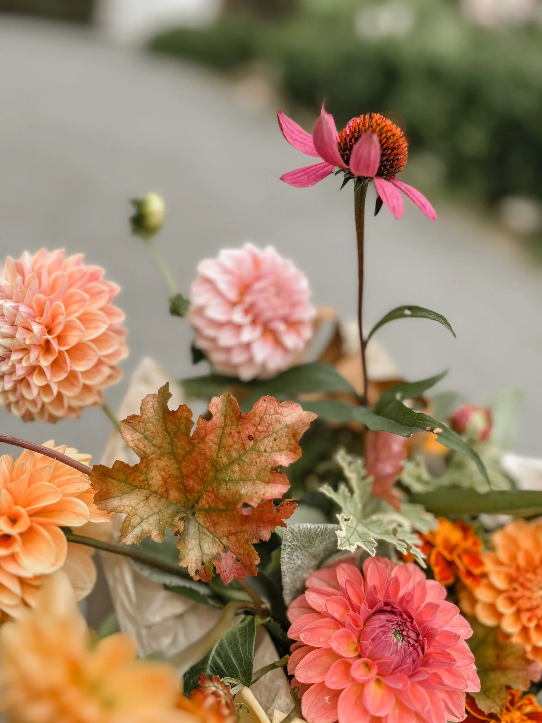 E8742039-568F-46DF-BC69-47B6D0DD11DE