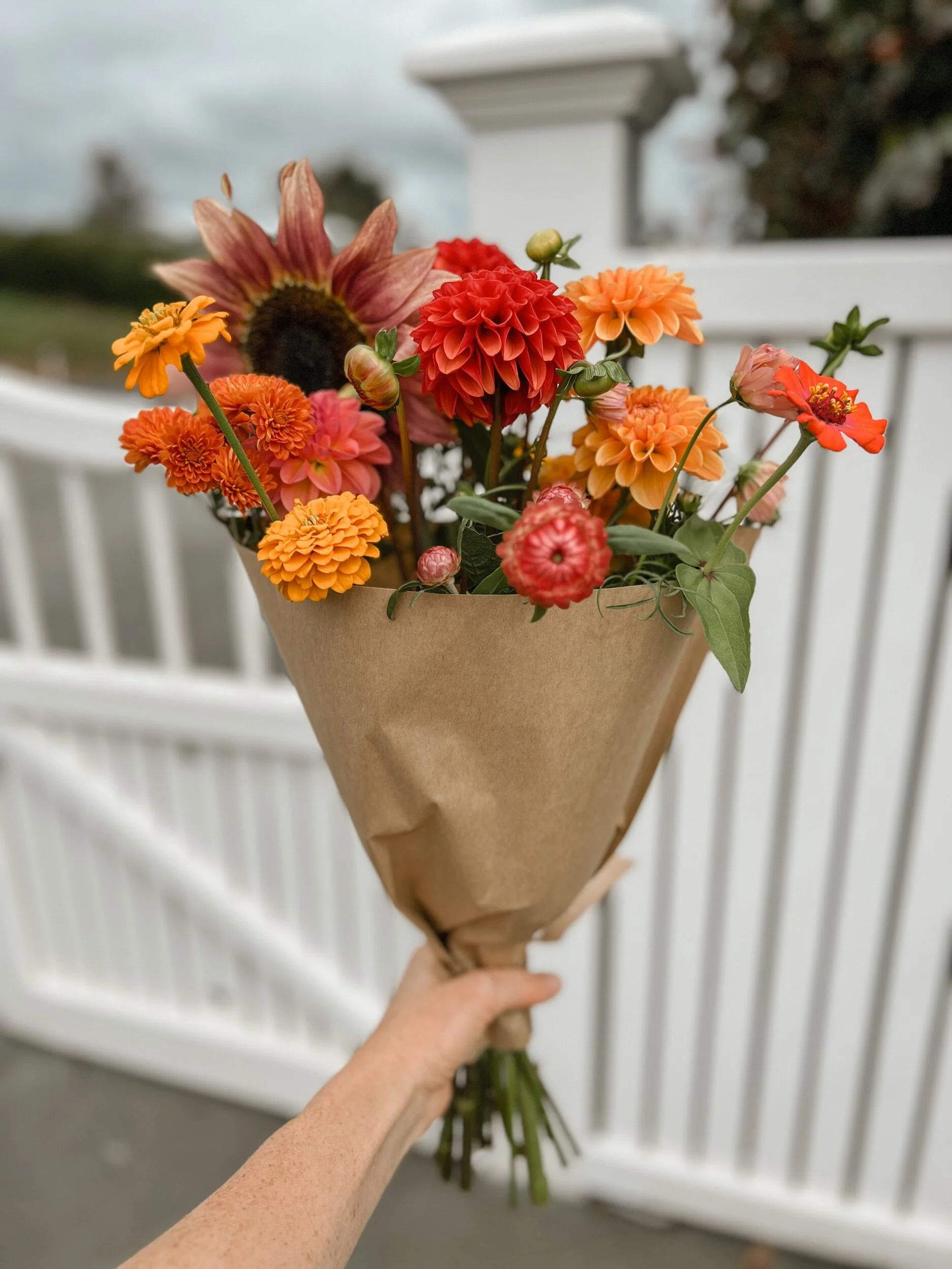 9CBE27FC-FC4F-4DCA-971A-3F1F6DA4B327