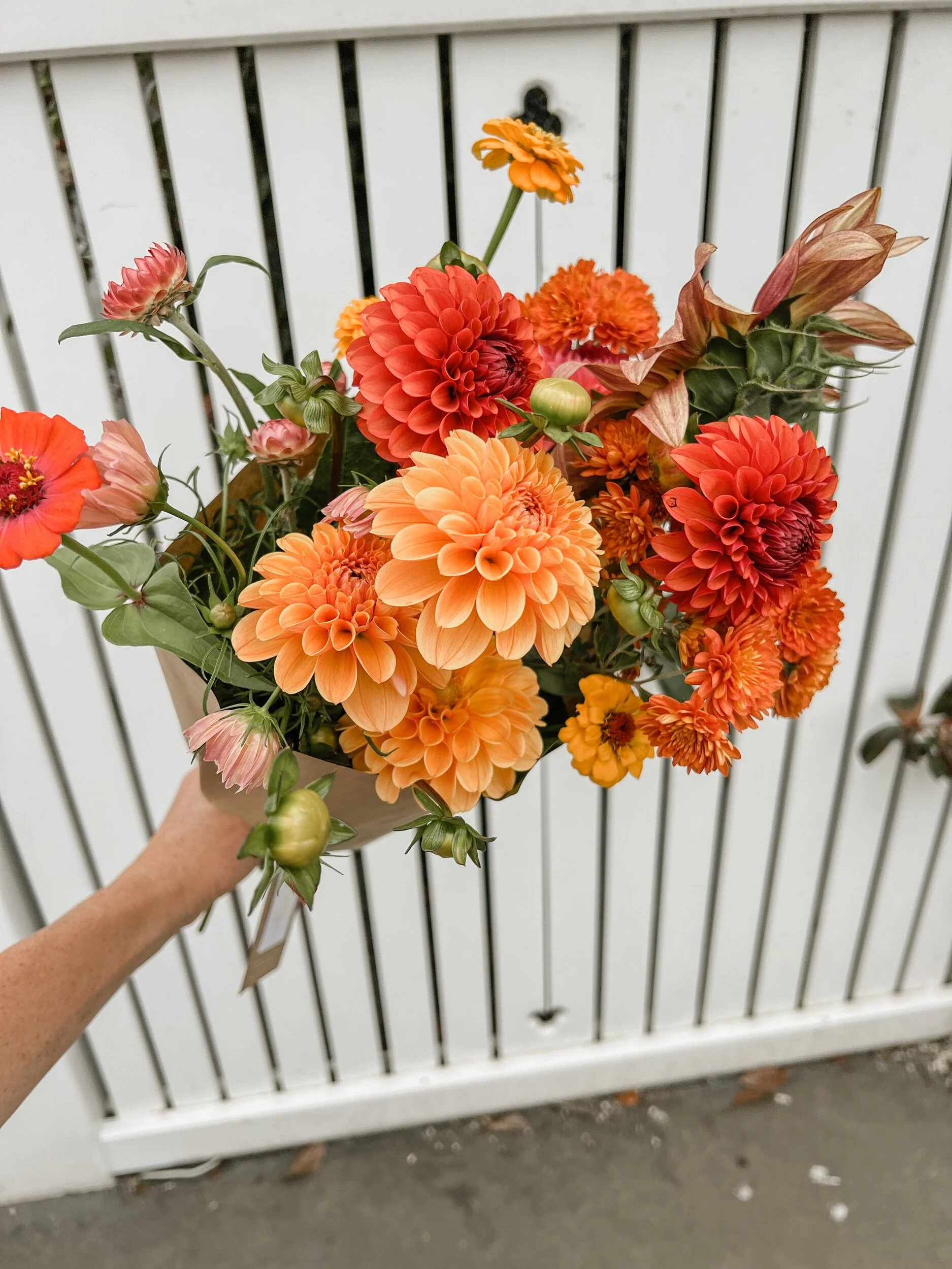 306C7285-54CB-4008-B19F-19BBC9D22D26