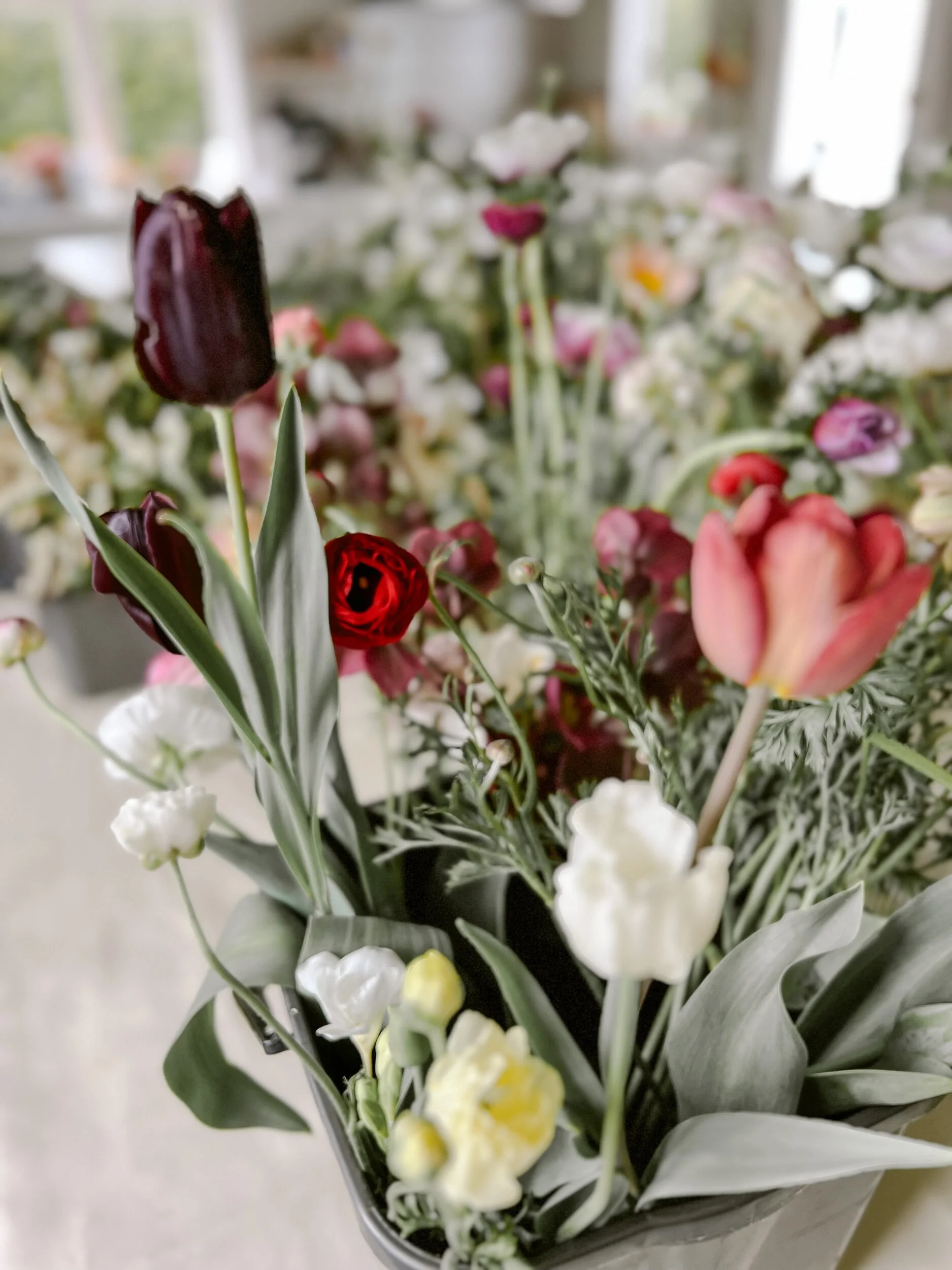 95B74425-BA03-4B99-B203-9B835C164219