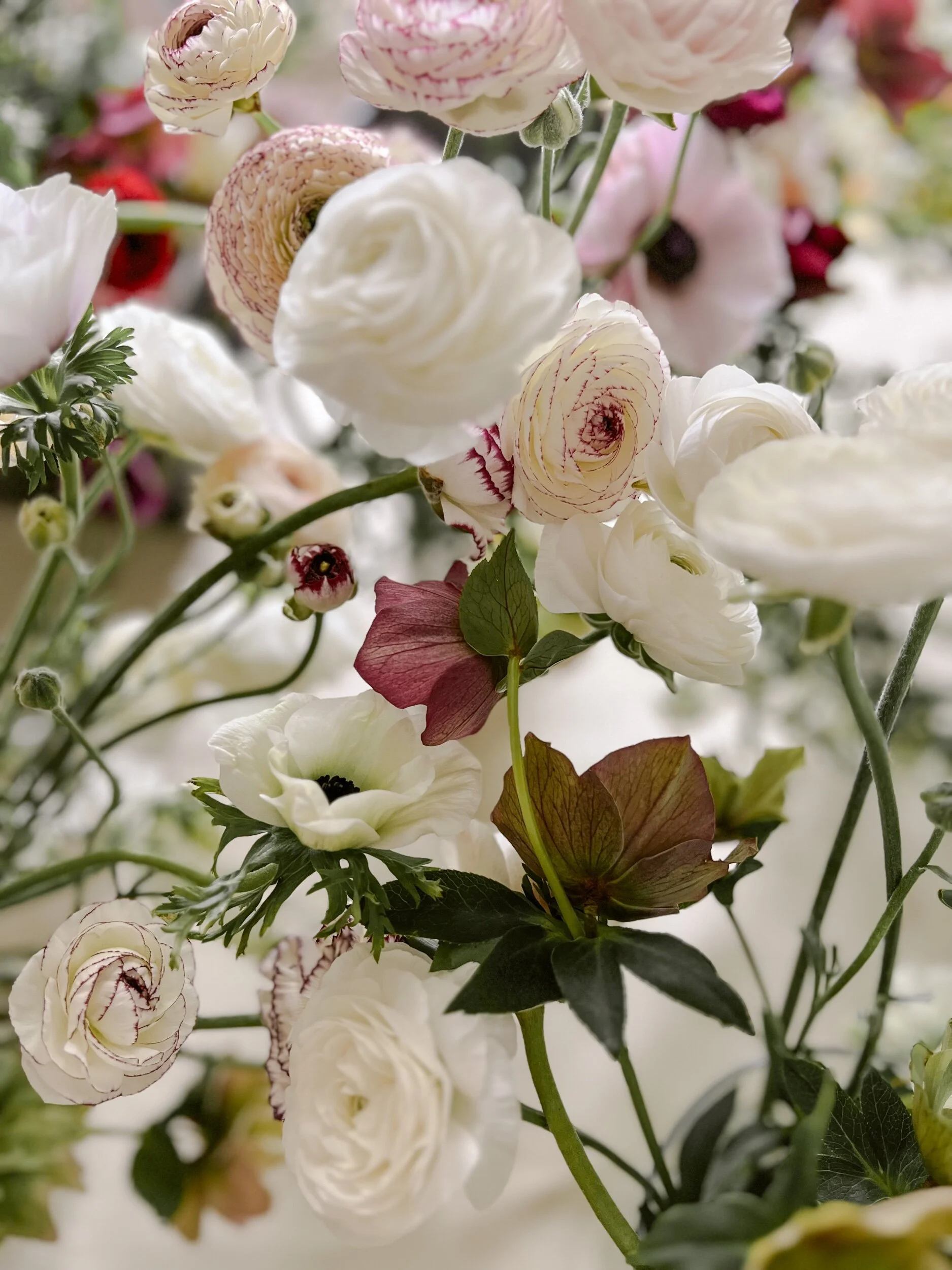 CDAEACE0-DC82-4106-B6DD-CDFFFA03EEEE