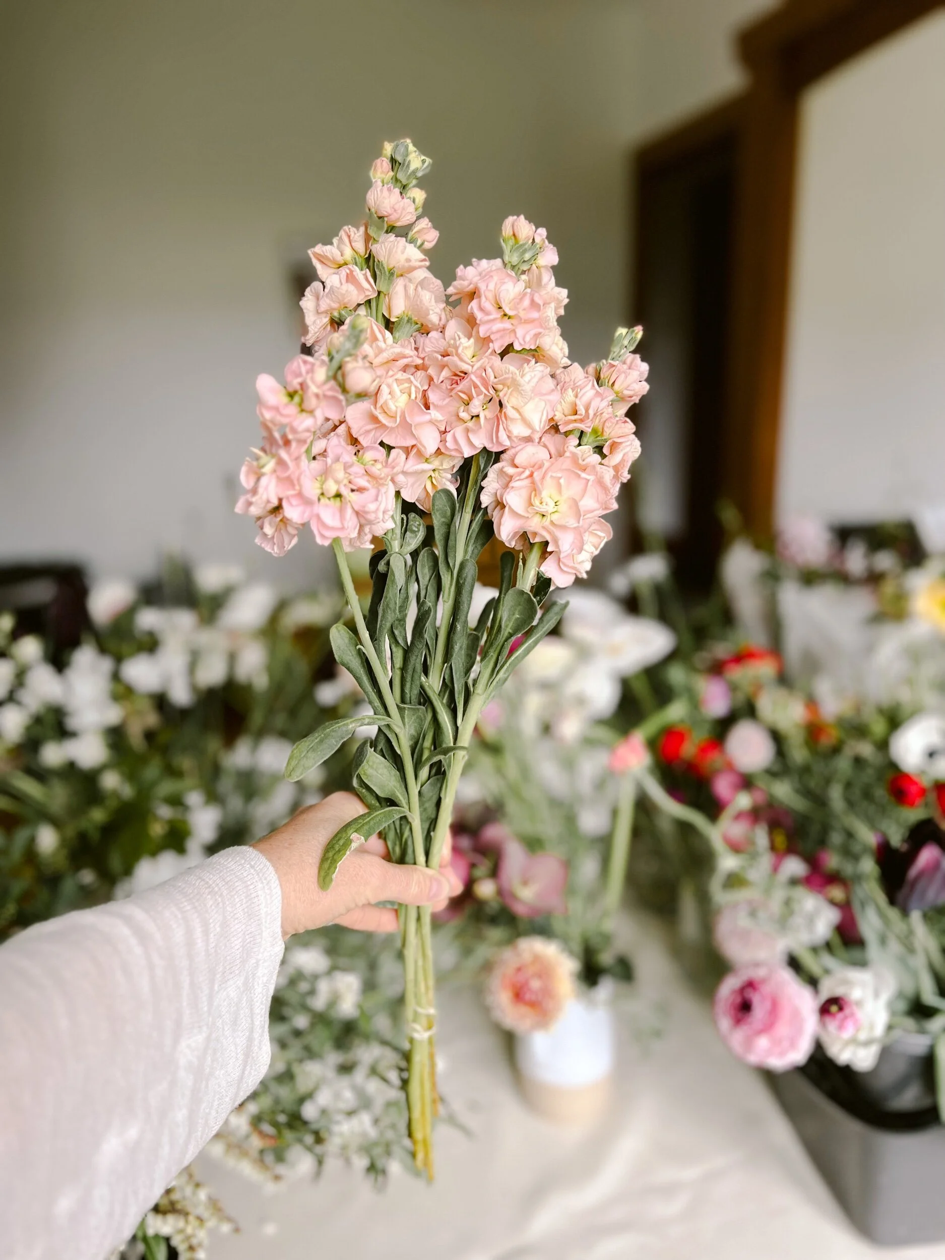 D8A09F19-2C5F-4A09-849E-78F7ED7FB686