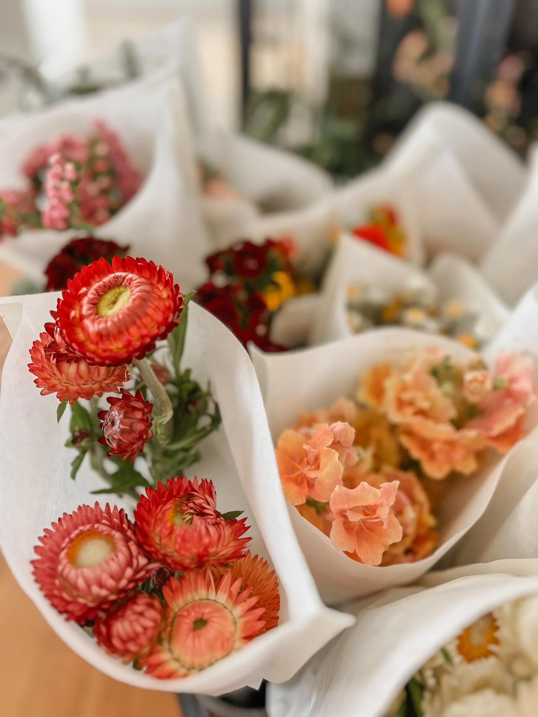 10A72487-AD20-4095-AC26-18FA88A58936